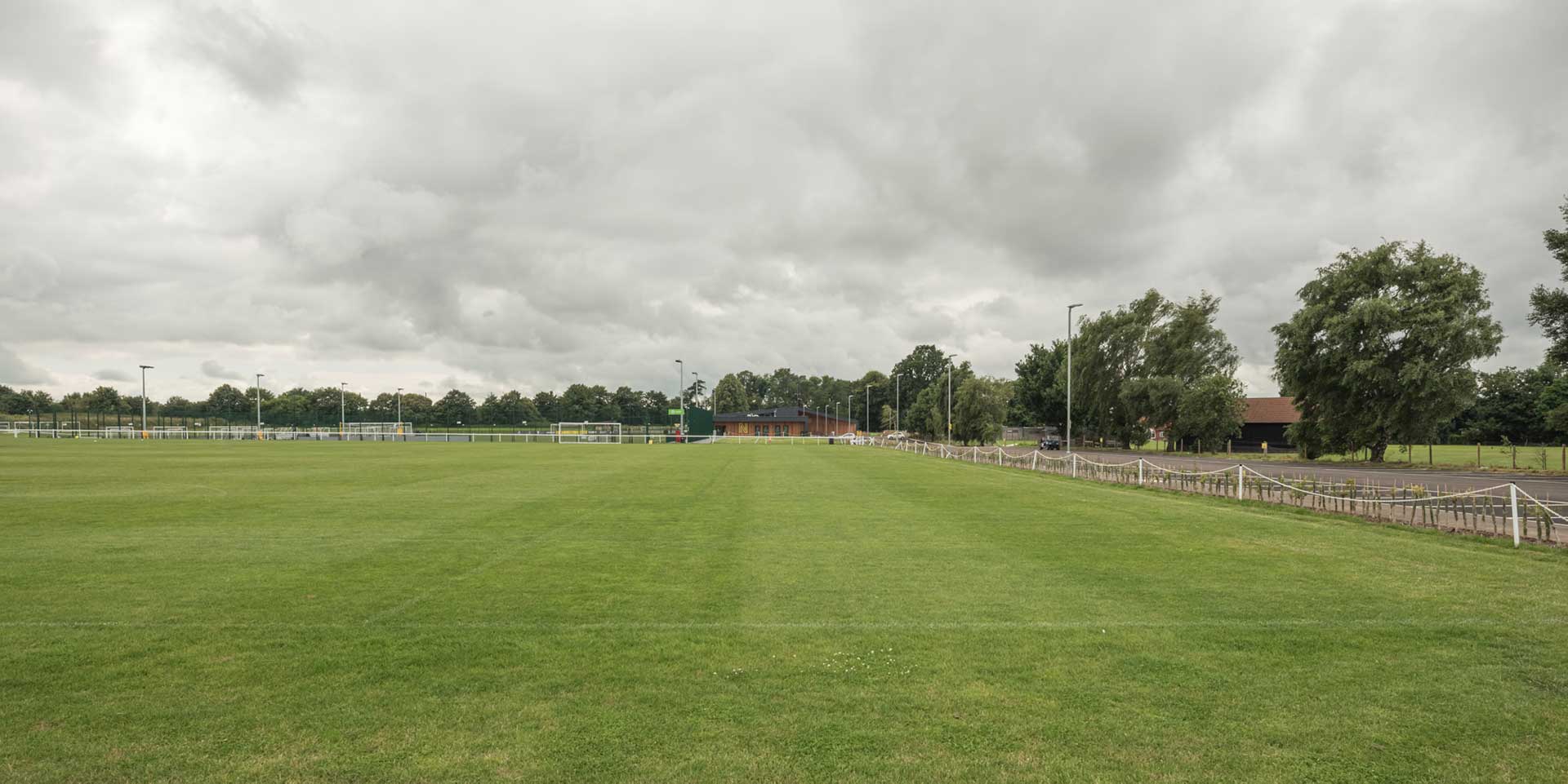 The Nest view of the pitch